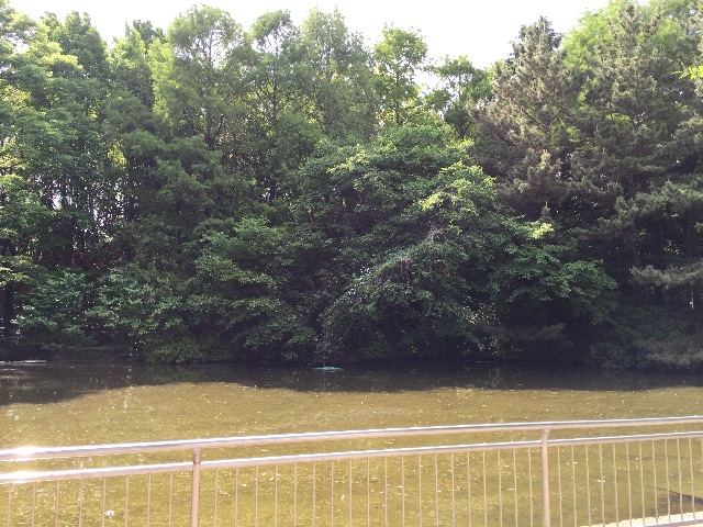 f:id:hisabisaunkmn:20150510170714j:image f:id:hisabisaunkmn:20150510170714j:image