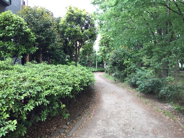 f:id:hisabisaunkmn:20150510172358j:image f:id:hisabisaunkmn:20150510172358j:image