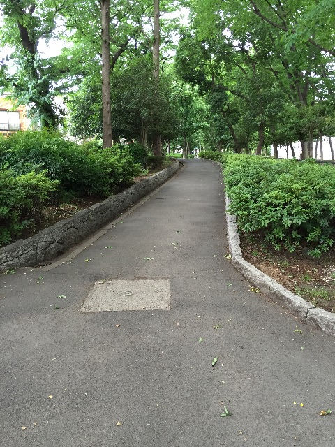 f:id:hisabisaunkmn:20150510172557j:image f:id:hisabisaunkmn:20150510172557j:image
