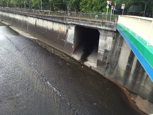 f:id:hisabisaunkmn:20150510172724j:image f:id:hisabisaunkmn:20150510172724j:image