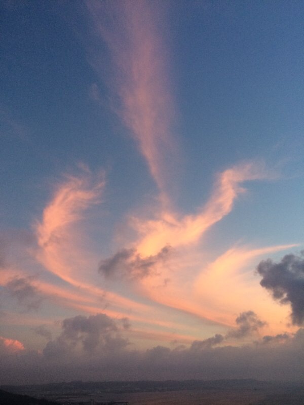 f:id:hisanomarkun:20140820183320j:plain f:id:hisanomarkun:20140820183320j:plain