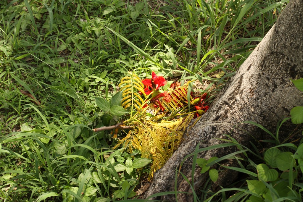 f:id:hisanoriakiyama:20160605153136j:plain