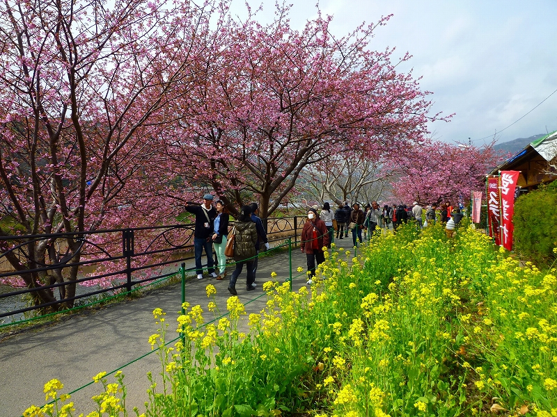 f:id:hisatsugu79:20160124031204p:plain f:id:hisatsugu79:20160124031204p:plain