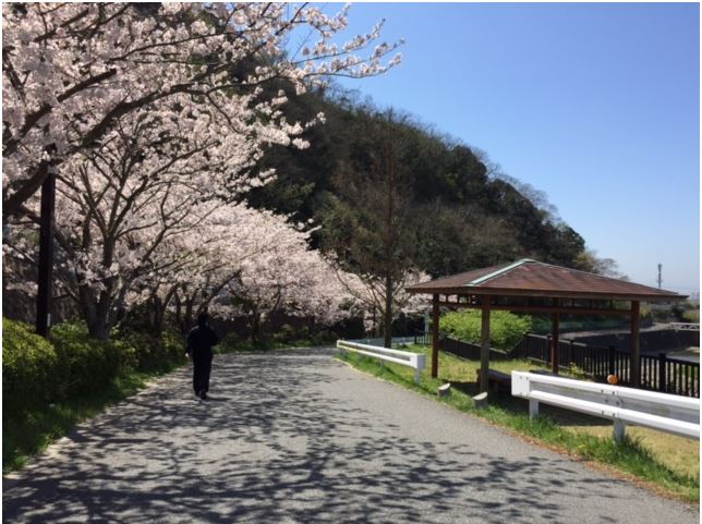 f:id:hisatsugu79:20160124041837j:plain f:id:hisatsugu79:20160124041837j:plain