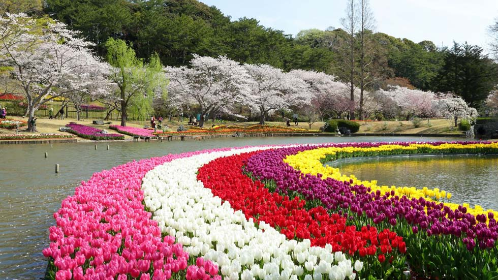 f:id:hisatsugu79:20160124102947p:plain f:id:hisatsugu79:20160124102947p:plain