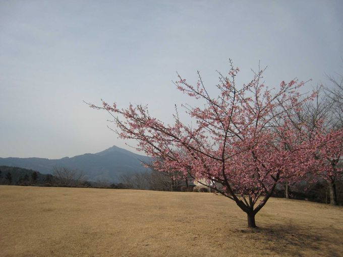 f:id:hisatsugu79:20160124104823p:plain f:id:hisatsugu79:20160124104823p:plain