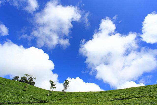 f:id:hisatsugu79:20160206175016j:plain f:id:hisatsugu79:20160206175016j:plain