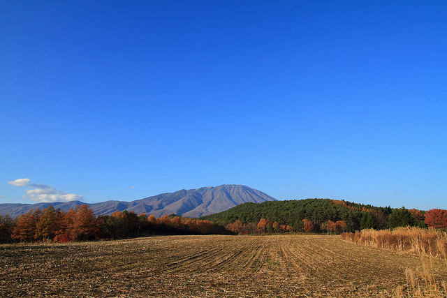 f:id:hisatsugu79:20160210213013j:plain