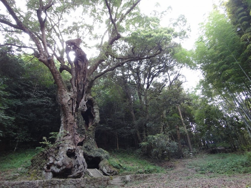 f:id:hishi07:20110808165457j:plain