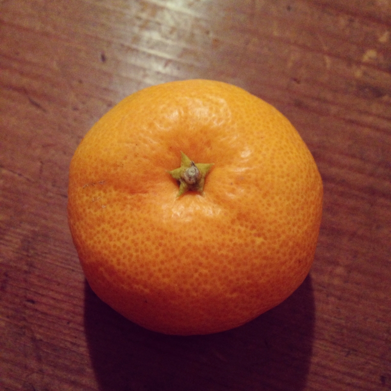 f:id:hisohisomaturi:20131119002359j:image:w280:right