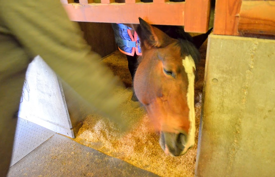 f:id:hitomonji:20160106235452p:plain