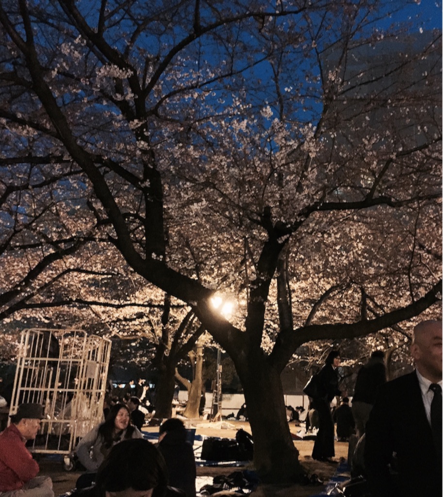 f:id:hitoribucho:20160330230151j:image f:id:hitoribucho:20160330230151j:image