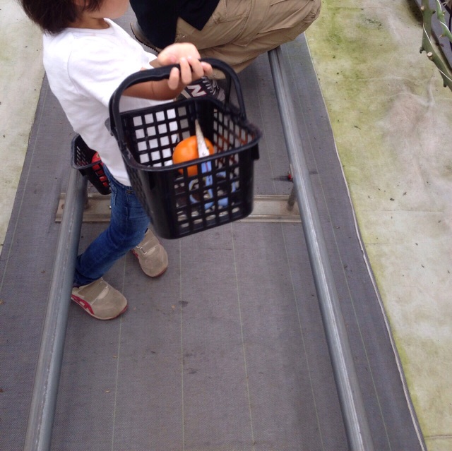 f:id:hitorinojikan:20150629133142j:image f:id:hitorinojikan:20150629133142j:image