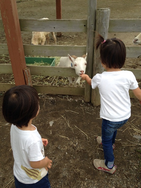 f:id:hitorinojikan:20150629133348j:image f:id:hitorinojikan:20150629133348j:image
