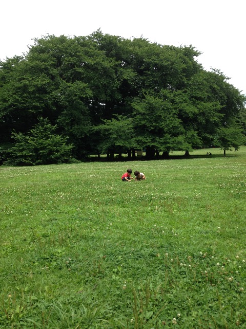 f:id:hitorinojikan:20150703231232j:image f:id:hitorinojikan:20150703231232j:image