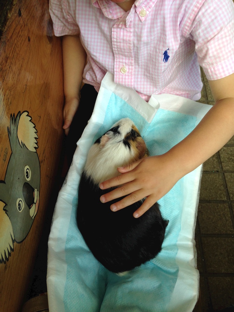 f:id:hitorinojikan:20150718222020j:image f:id:hitorinojikan:20150718222020j:image