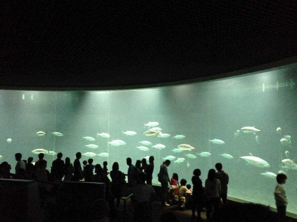 f:id:hitorinojikan:20151011232602j:image f:id:hitorinojikan:20151011232602j:image