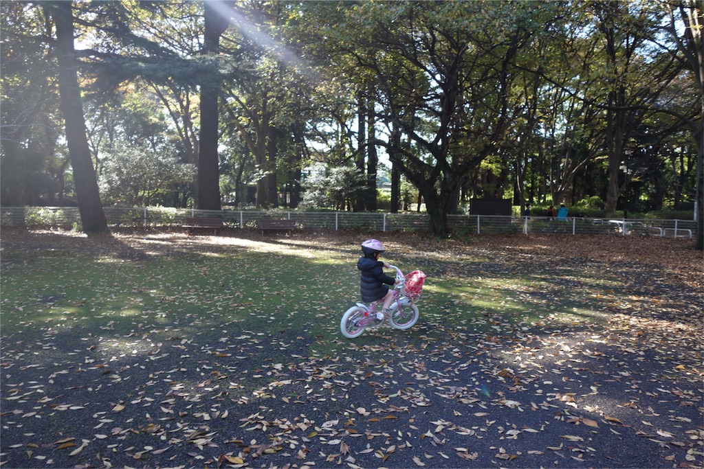 f:id:hitorinojikan:20151128145806j:image f:id:hitorinojikan:20151128145806j:image