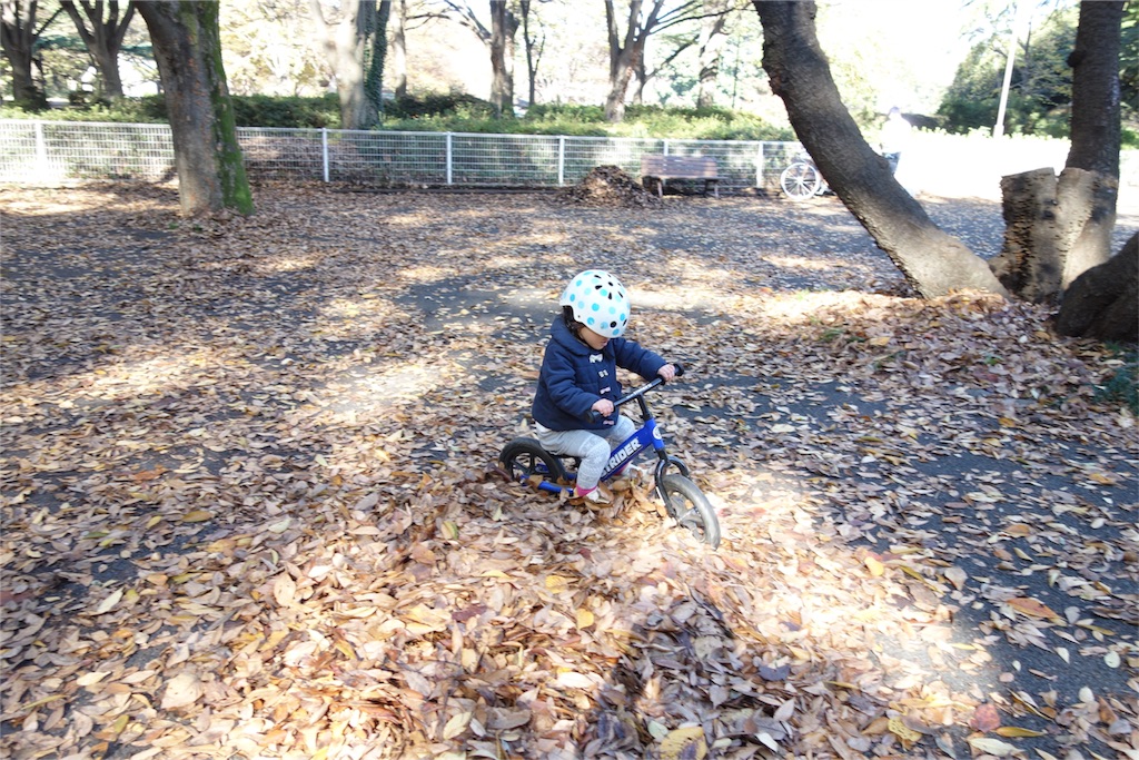 f:id:hitorinojikan:20151128150829j:image f:id:hitorinojikan:20151128150829j:image