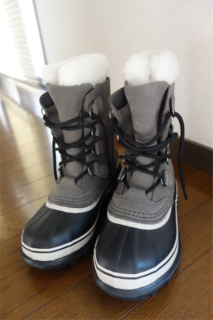 f:id:hitorinojikan:20160124145530j:image f:id:hitorinojikan:20160124145530j:image