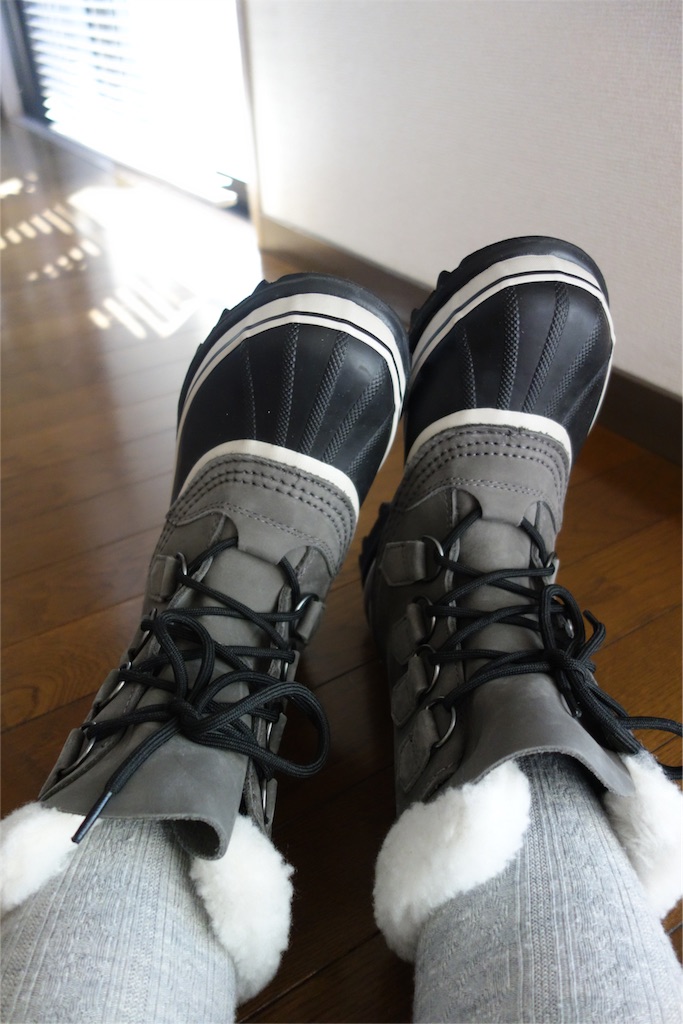 f:id:hitorinojikan:20160124150031j:image f:id:hitorinojikan:20160124150031j:image