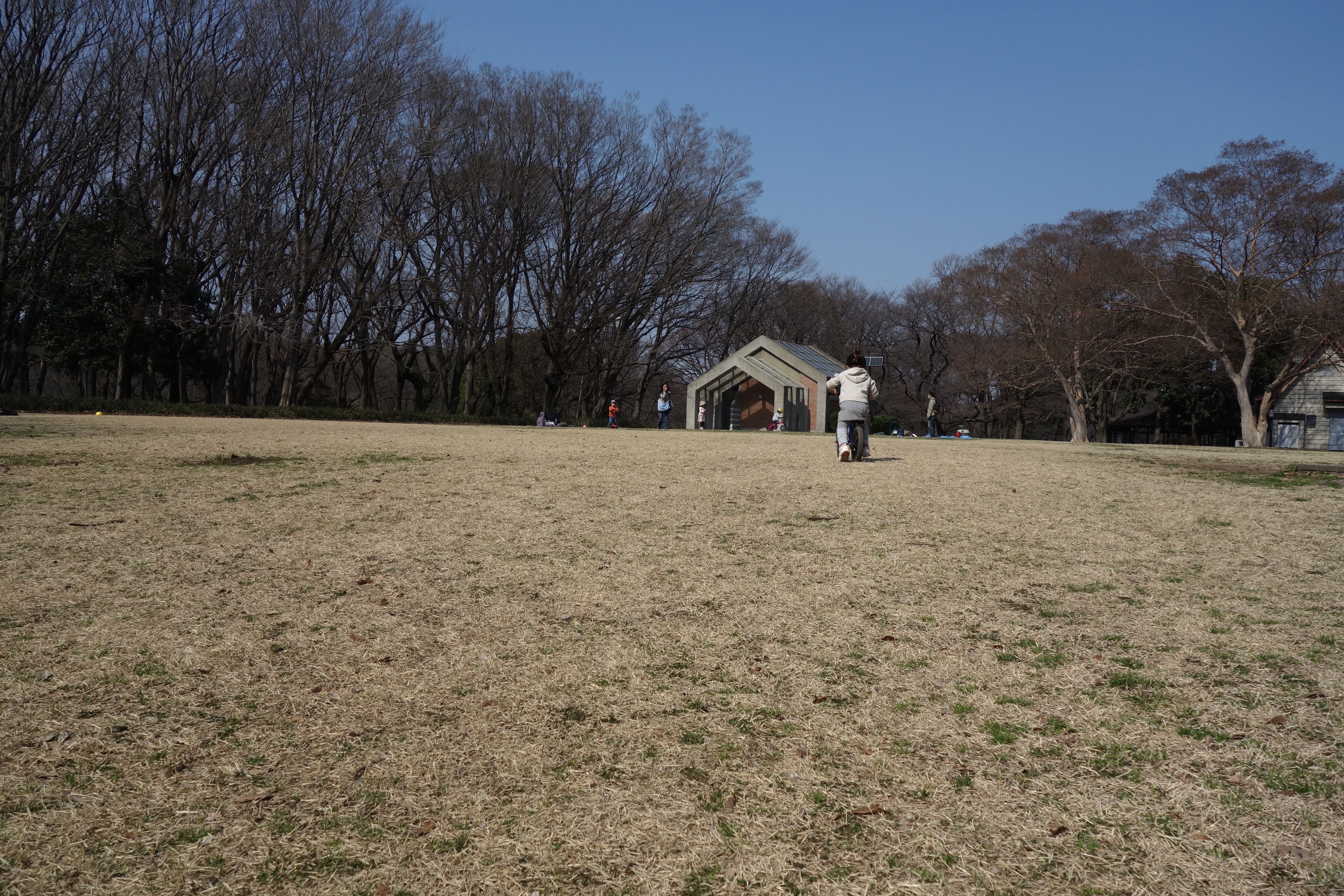 f:id:hitorinojikan:20160228143945j:image f:id:hitorinojikan:20160228143945j:image