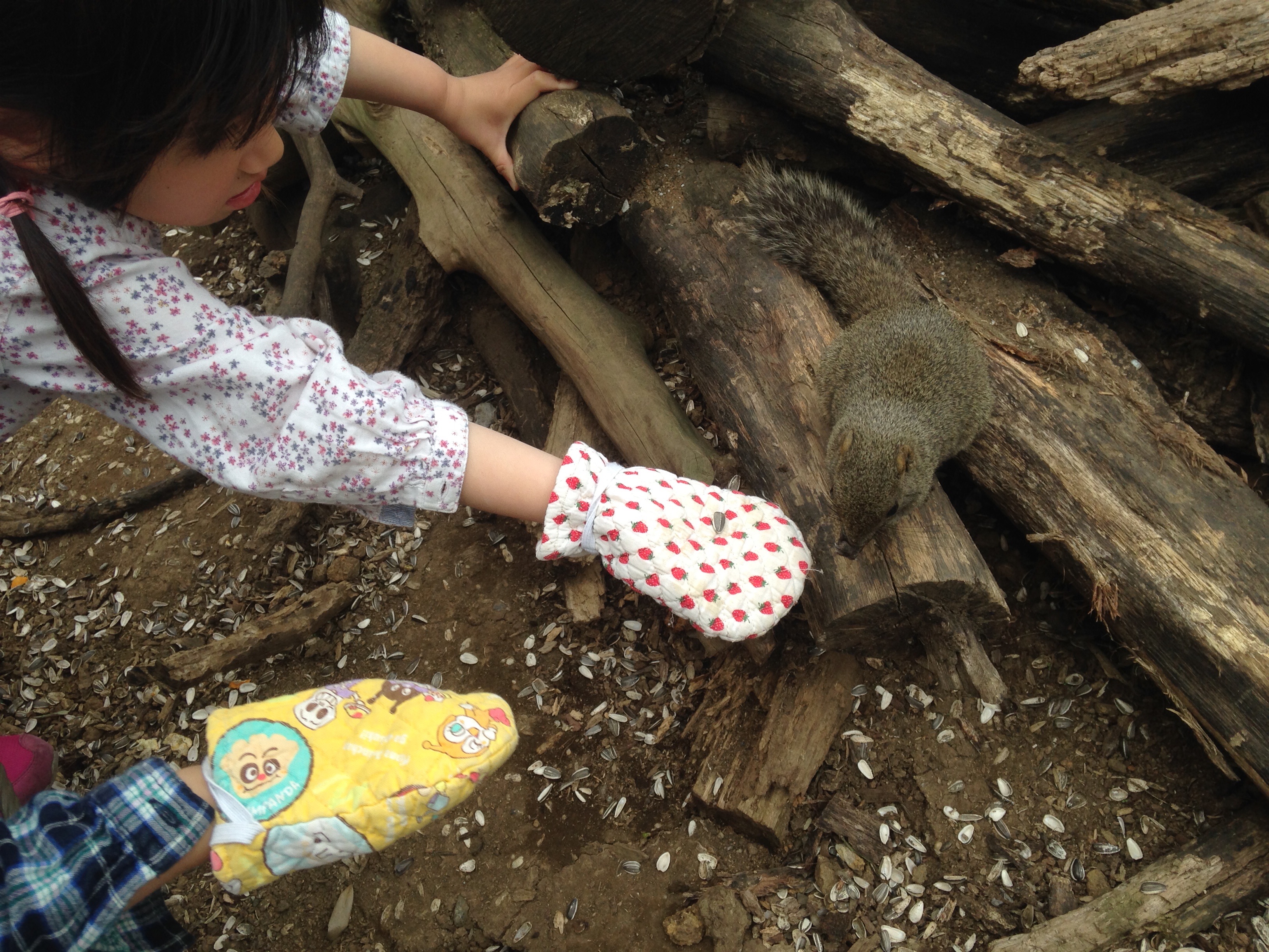 f:id:hitorinojikan:20160330222330j:image f:id:hitorinojikan:20160330222330j:image