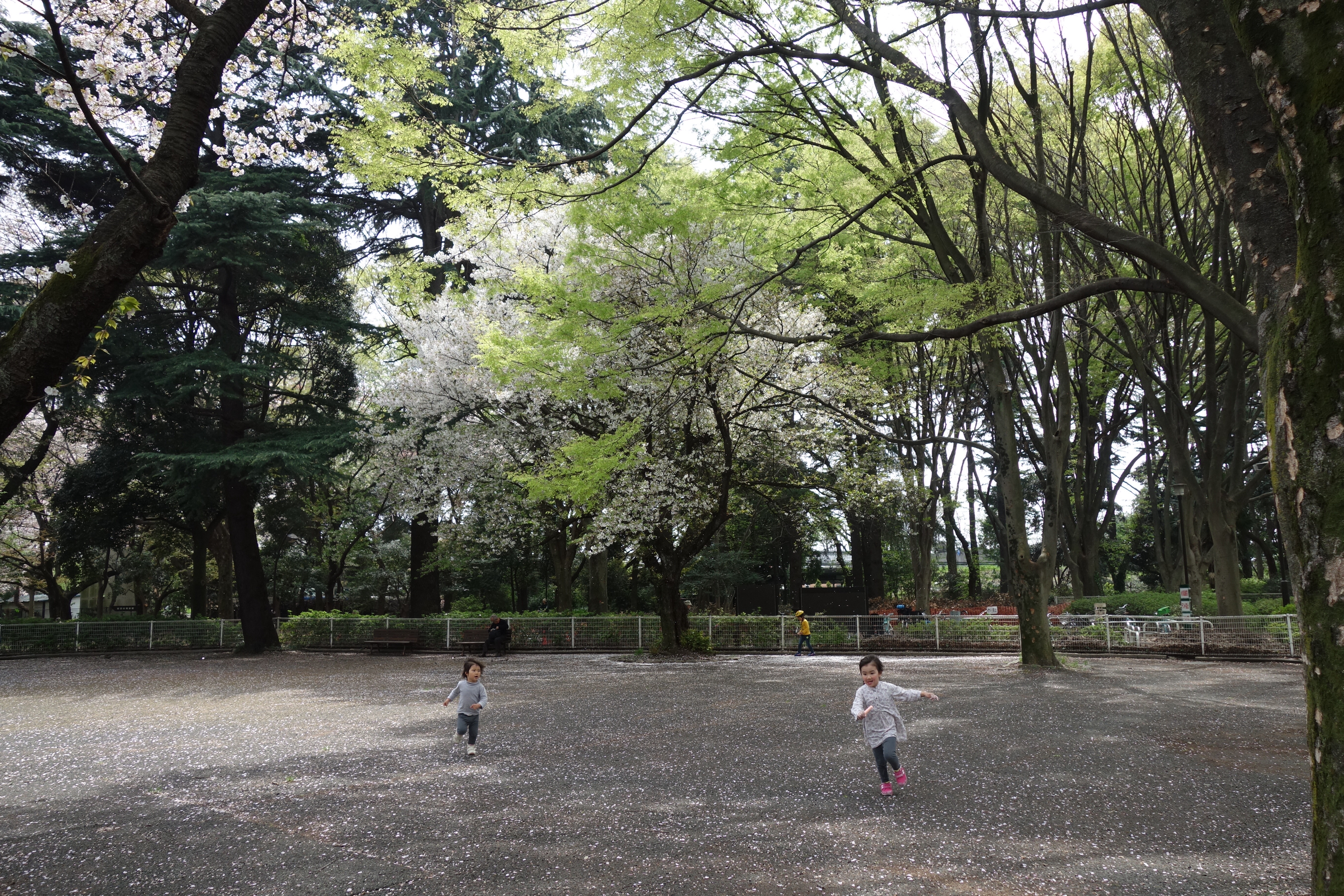 f:id:hitorinojikan:20160410151936j:image f:id:hitorinojikan:20160410151936j:image