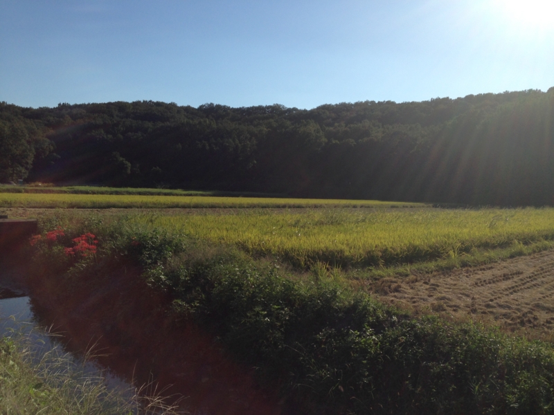 f:id:hitoshi-k:20130927151923j:plain f:id:hitoshi-k:20130927151923j:plain