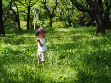 f:id:hitoshin:20120513131054j:plain f:id:hitoshin:20120513131054j:plain
