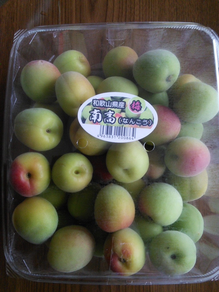 f:id:hiyashiamazake:20160605175513j:plain