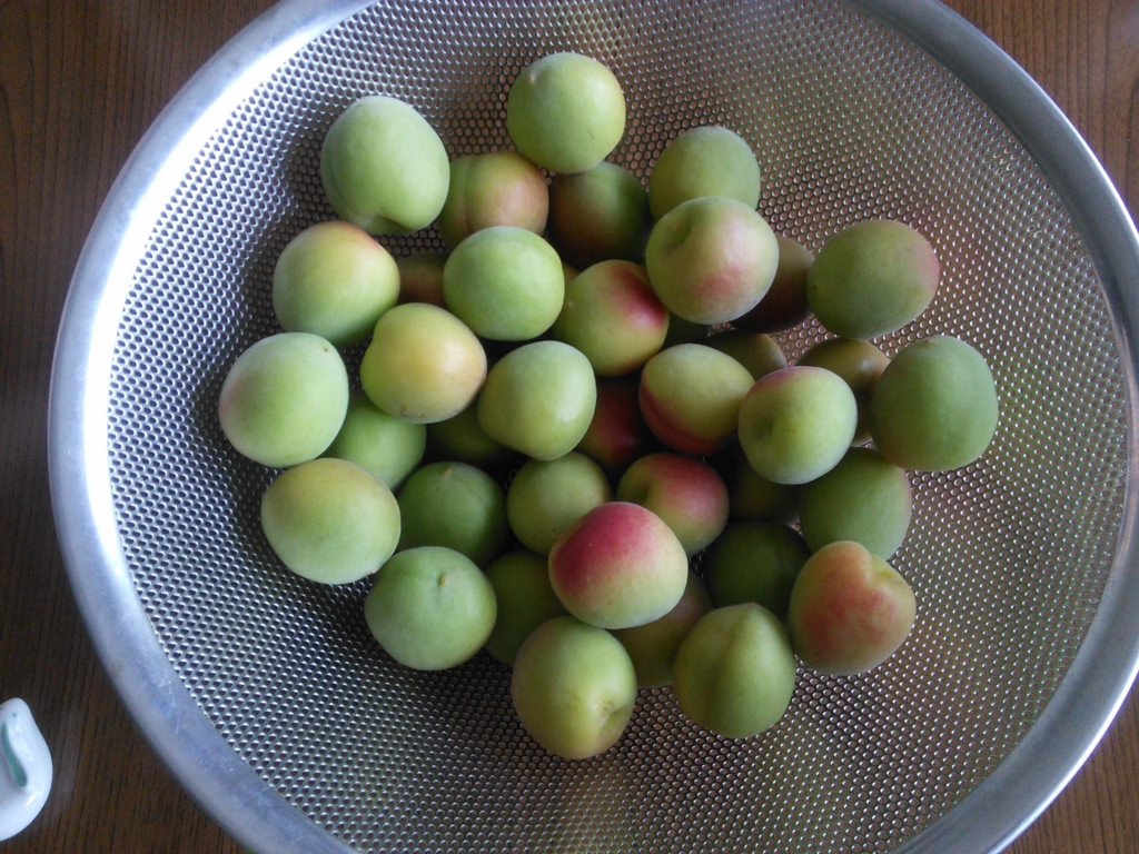 f:id:hiyashiamazake:20160605175548j:plain