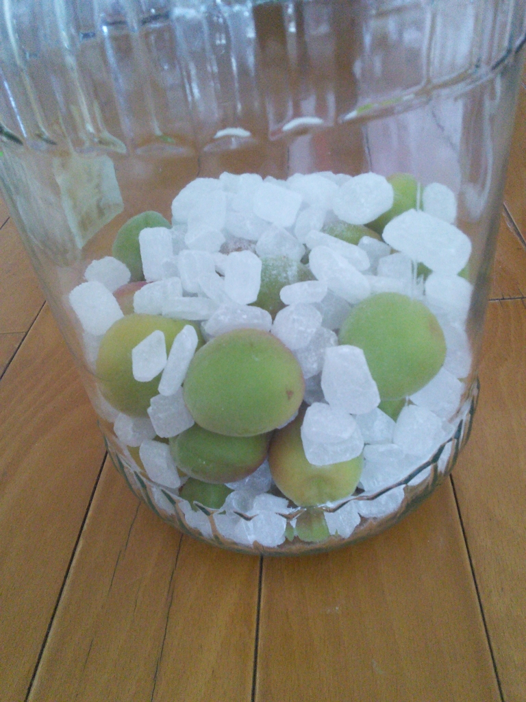 f:id:hiyashiamazake:20160605175621j:plain