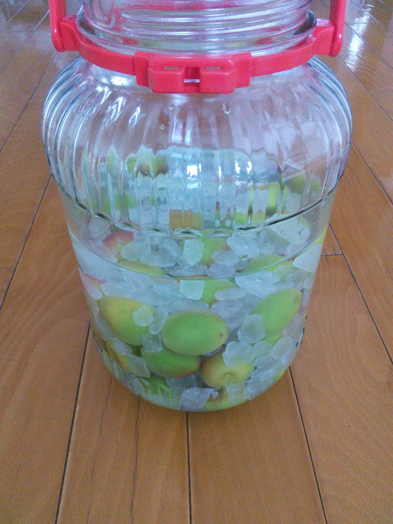 f:id:hiyashiamazake:20160605175656j:plain