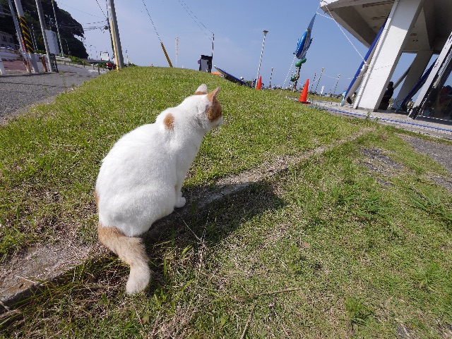 f:id:hiyuka_tokyo:20150714171346j:image f:id:hiyuka_tokyo:20150714171346j:image