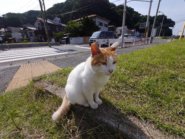 f:id:hiyuka_tokyo:20150714171358j:image f:id:hiyuka_tokyo:20150714171358j:image