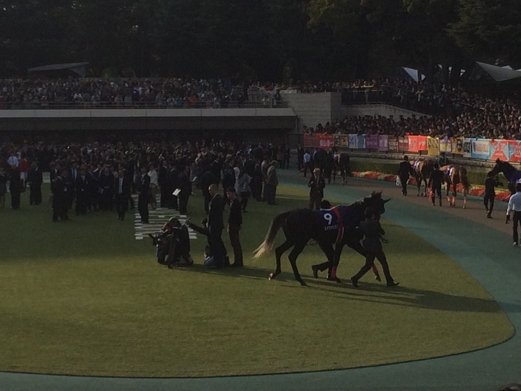 f:id:hiyuka_tokyo:20151101220719j:image f:id:hiyuka_tokyo:20151101220719j:image