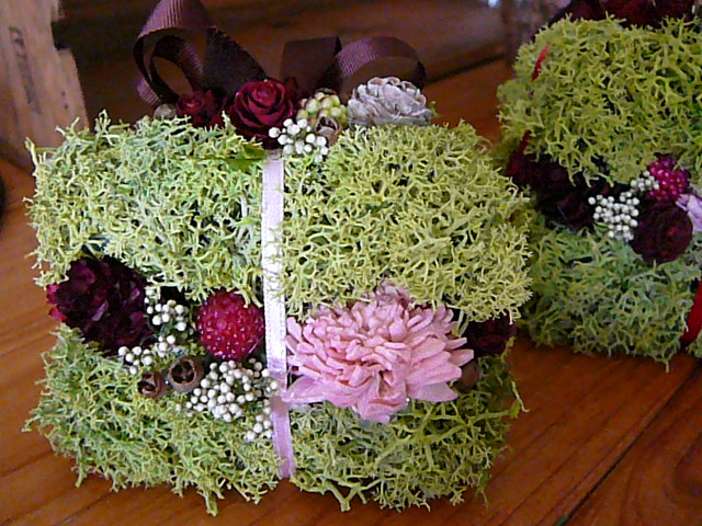 f:id:hizi62:20120514143758j:image:w360:left f:id:hizi62:20120514143758j:image:w360:left