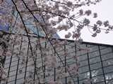 f:id:hizi62:20130323110943j:plain f:id:hizi62:20130323110943j:plain