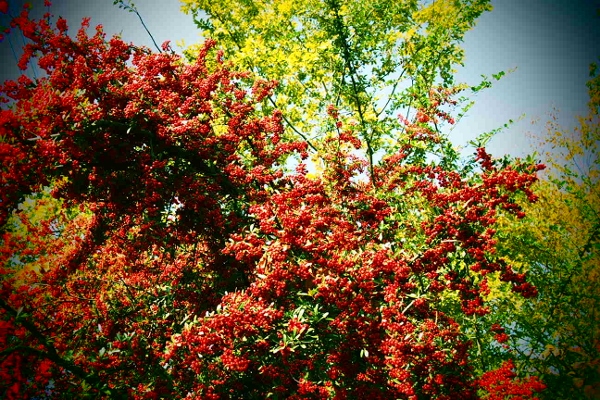 f:id:hizi62:20131117115103j:plain f:id:hizi62:20131117115103j:plain