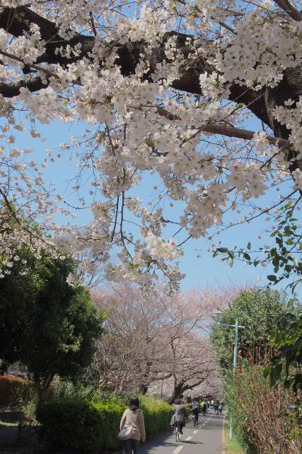f:id:hizi62:20140331123116j:plain f:id:hizi62:20140331123116j:plain