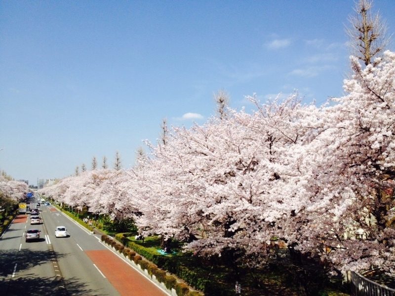 f:id:hizi62:20150403093457j:plain f:id:hizi62:20150403093457j:plain