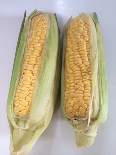 f:id:hk510017511166:20150703154354j:plain f:id:hk510017511166:20150703154354j:plain