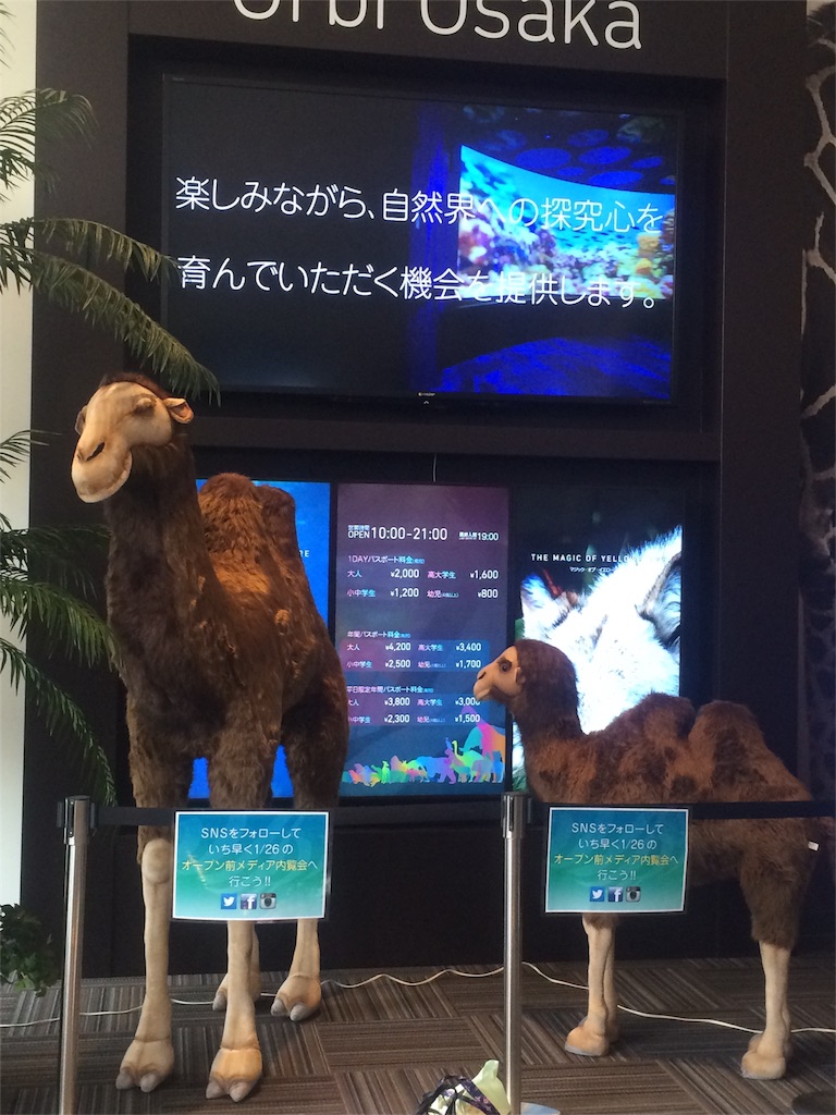 f:id:hk510017511166:20160109152208j:image f:id:hk510017511166:20160109152208j:image