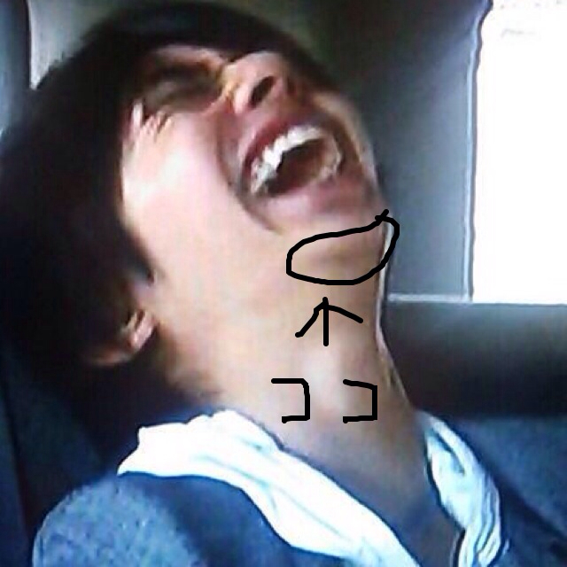 f:id:hksw00:20130606202354j:plain f:id:hksw00:20130606202354j:plain