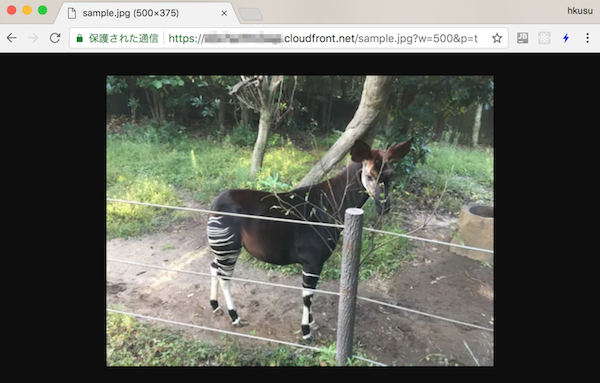 f:id:hkusu:20180524155006p:plain f:id:hkusu:20180524155006p:plain