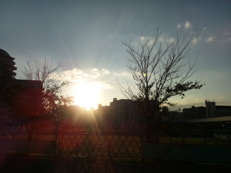 f:id:hmbdyh:20121109165920j:image:w640
