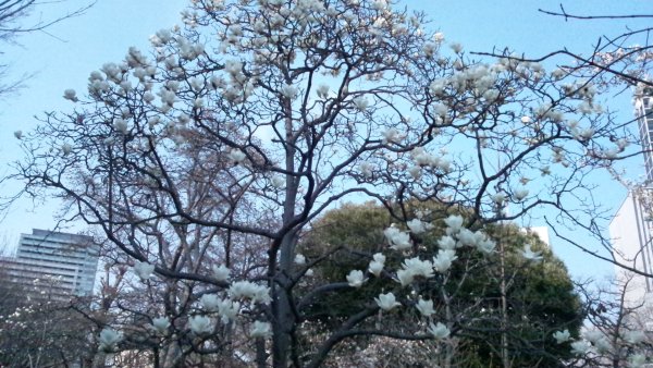 f:id:hmbdyh:20130317184115j:image