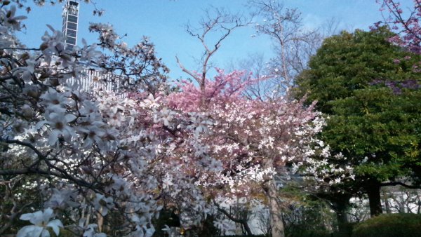 f:id:hmbdyh:20130317184118j:image