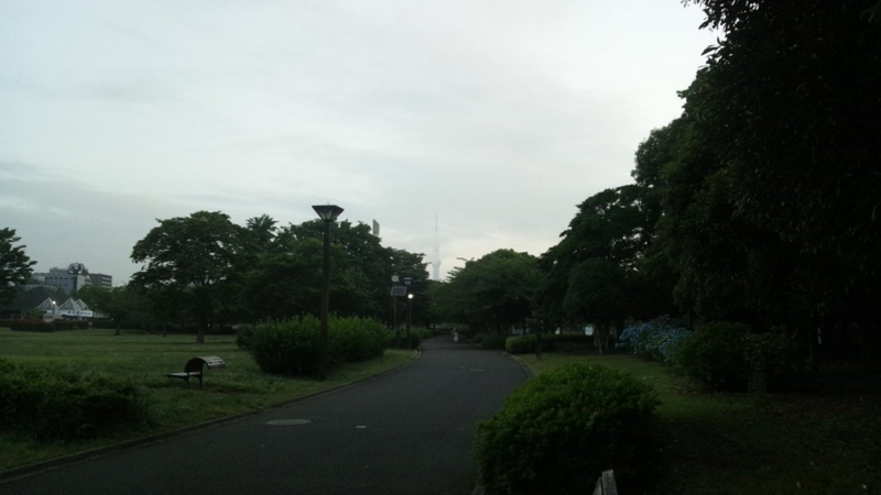 f:id:hmbdyh:20130615055717j:image